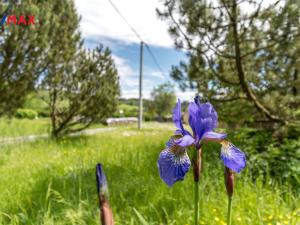 Prodej rodinného domu, Čermná, 280 m2