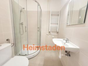 Pronájem bytu 1+kk, Havířov - Město, Hlavní třída, 21 m2