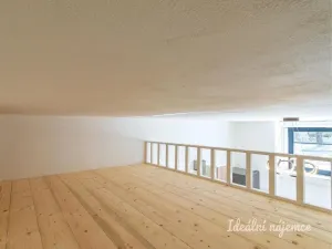 Pronájem bytu 1+kk, Praha - Vinohrady, Soběslavská, 23 m2