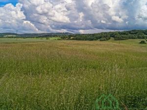 Prodej zemědělské půdy, Nový Malín, 49431 m2