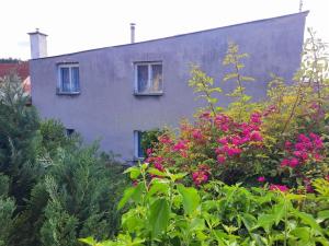 Prodej rodinného domu, Chlumec - Žandov, Žandov, 120 m2
