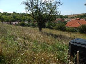 Prodej pozemku pro bydlení, Bošovice, 1000 m2