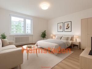 Pronájem bytu 1+1, Karviná - Nové Město, Závodní, 38 m2