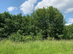 Prodej zahrady, Liběšice - Zimoř, 8000 m2