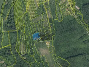 Prodej sadu/vinice, Koryčany, 4253 m2