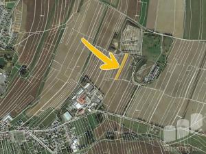Prodej zemědělské půdy, Lišov, 3719 m2