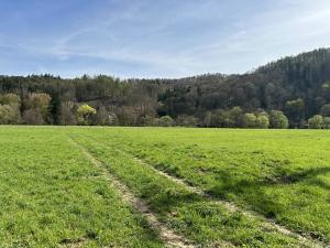 Prodej trvalého travního porostu, Sázava, 4900 m2