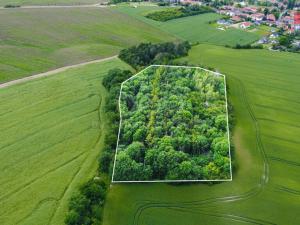 Prodej zemědělské půdy, Tuřany - Byseň, 27000 m2