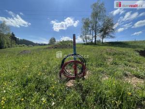 Prodej pozemku pro bydlení, Staré Buky - Prostřední Staré Buky, 1100 m2