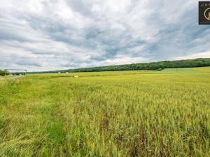 Prodej pozemku pro bydlení, Slavětín, Pod Lesem, 1000 m2