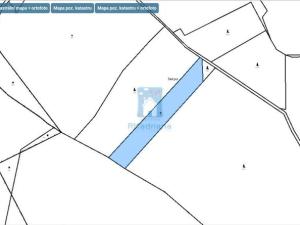 Prodej trvalého travního porostu, Strážný - Hliniště, 5547 m2