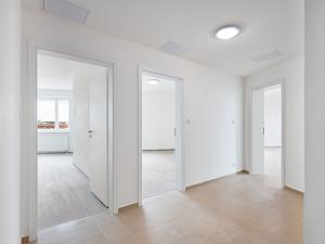 Pronájem bytu 1+kk, Plzeň, Železniční, 42 m2