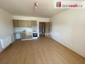 Pronájem bytu 1+kk, Opava - Předměstí, Oblouková, 25 m2