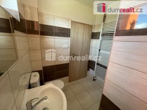 Pronájem bytu 1+kk, Opava - Předměstí, Oblouková, 25 m2
