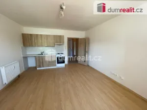 Pronájem bytu 1+kk, Opava - Předměstí, Oblouková, 25 m2