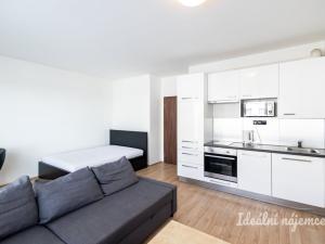 Pronájem bytu 1+kk, Praha - Dolní Měcholupy, Kardausova, 35 m2