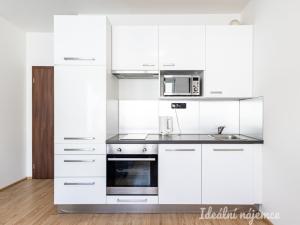 Pronájem bytu 1+kk, Praha - Dolní Měcholupy, Kardausova, 35 m2