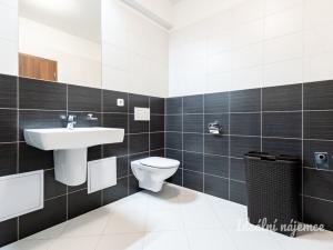 Pronájem bytu 1+kk, Praha - Dolní Měcholupy, Kardausova, 35 m2