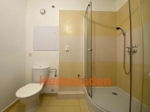 Pronájem bytu 1+1, Karviná - Hranice, Einsteinova, 36 m2