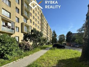 Pronájem bytu 3+kk, Havířov, Družstevnická, 62 m2