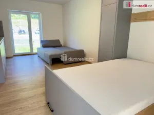 Prodej bytu 1+kk, Merklín - Pstruží, 30 m2