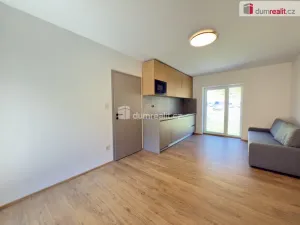 Prodej bytu 1+kk, Merklín - Pstruží, 28 m2