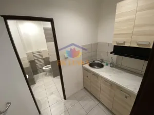 Pronájem bytu 1+kk, Frýdek-Místek - Frýdek, K Hájku, 36 m2