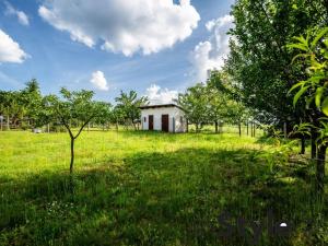 Prodej rodinného domu, Bzenec, Podhájí, 230 m2