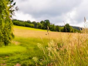 Prodej trvalého travního porostu, Horní Poříčí, 7954 m2