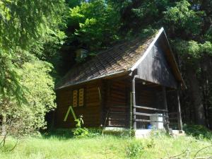 Pronájem chaty, Loučovice, 40 m2