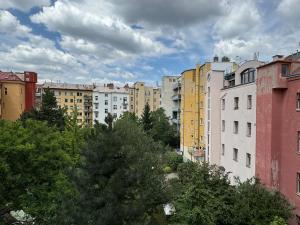 Pronájem bytu 2+1, Praha - Vinohrady, Záhřebská, 49 m2