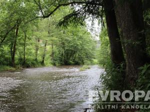 Prodej chaty, Planá - Vížka, Vížka č.ev., 37 m2