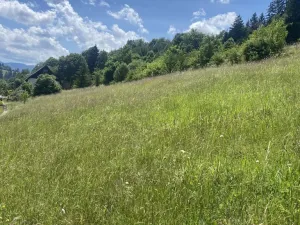 Prodej pozemku pro bydlení, Nový Hrozenkov, 1053 m2