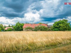 Prodej zemědělské usedlosti, Planá - Otín, 500 m2