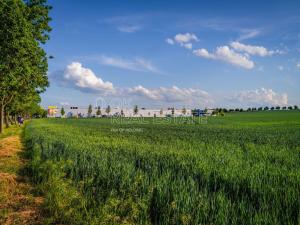 Prodej pozemku pro bydlení, Šestajovice, 1009 m2