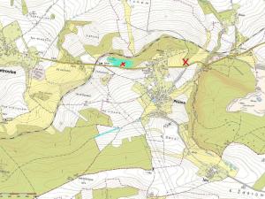 Prodej trvalého travního porostu, Příčina, 20542 m2