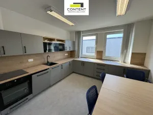 Prodej výrobních prostor, Chomutov, Beethovenova, 15052 m2