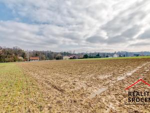 Pronájem zemědělské půdy, Havířov, Josefa Kotase, 3334 m2