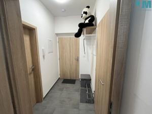 Pronájem bytu 1+kk, Žďár nad Sázavou, Nádražní, 37 m2
