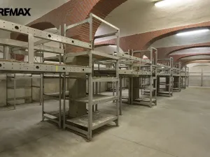 Prodej skladu, Protivín, Pivovar, 10600 m2