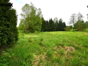 Prodej pozemku pro bydlení, Kostelní Radouň, 993 m2