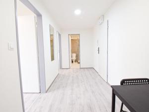 Pronájem bytu 2+1, Brno - Staré Brno, Hybešova, 32 m2