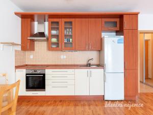 Pronájem bytu 1+kk, Praha - Hostivař, Švehlova, 38 m2