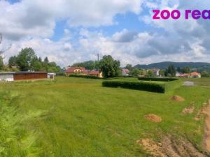Prodej pozemku pro bydlení, Zdíkov, 920 m2