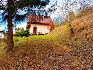 Pronájem rodinného domu, Dobršín, 80 m2