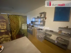 Pronájem bytu 1+kk, Praha - Dolní Chabry, K Beranovu, 43 m2