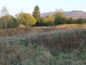 Prodej pozemku pro komerční výstavbu, Jiřetín pod Jedlovou, 12121 m2