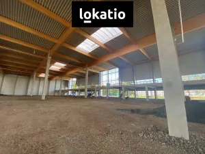 Pronájem skladu, Ostrava, Krmelínská, 1190 m2