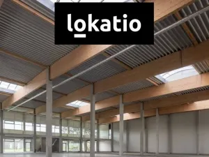 Pronájem skladu, Ostrava, Krmelínská, 1190 m2