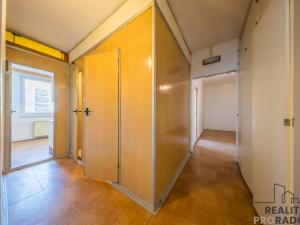 Prodej bytu 3+1, Hodonín, Lesní, 65 m2